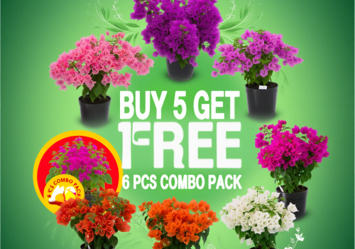 cead3bfc-7ce2-47ce-9d2c-5dd233a3c55d